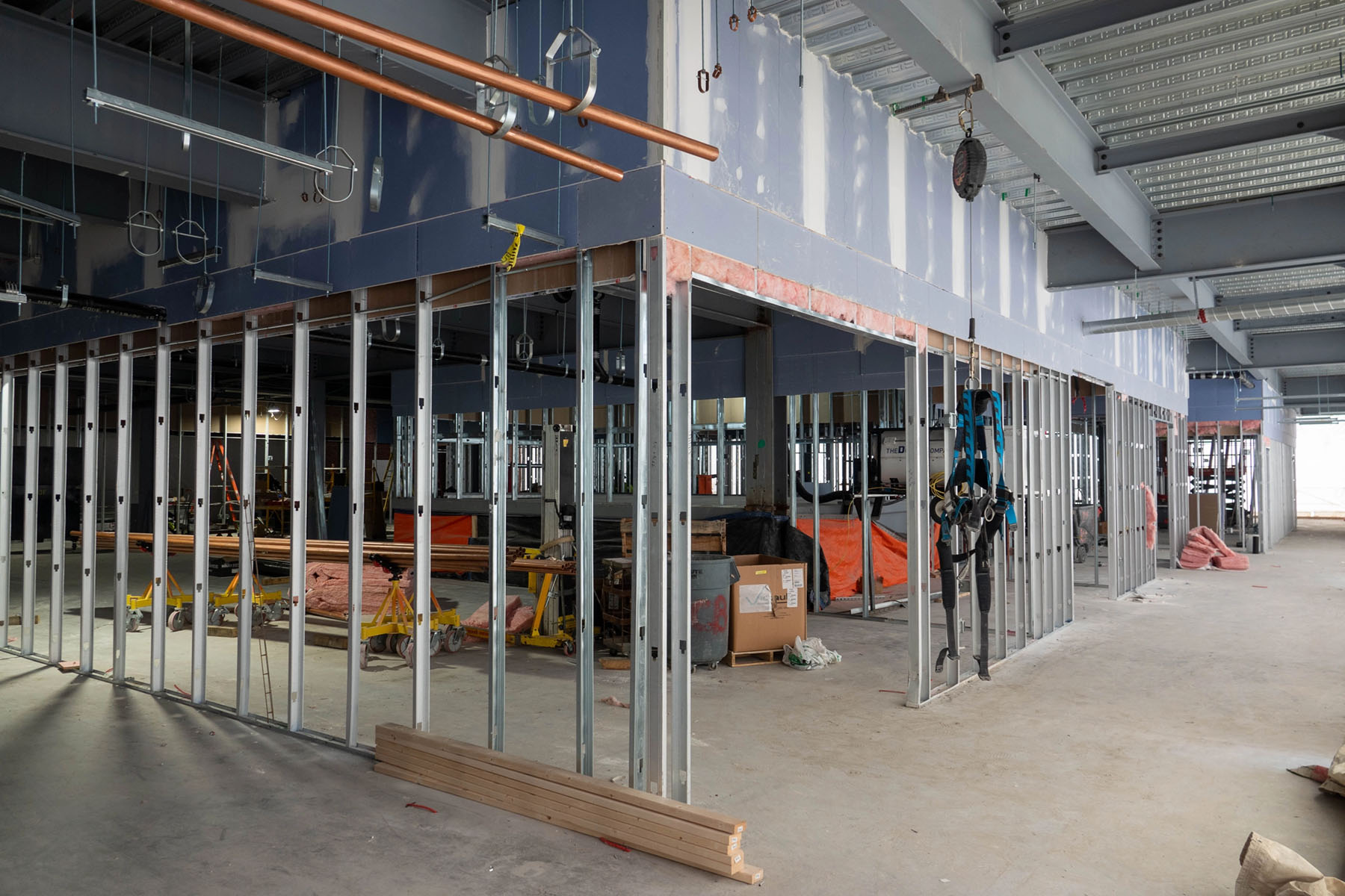 Framework of the lab expansion.