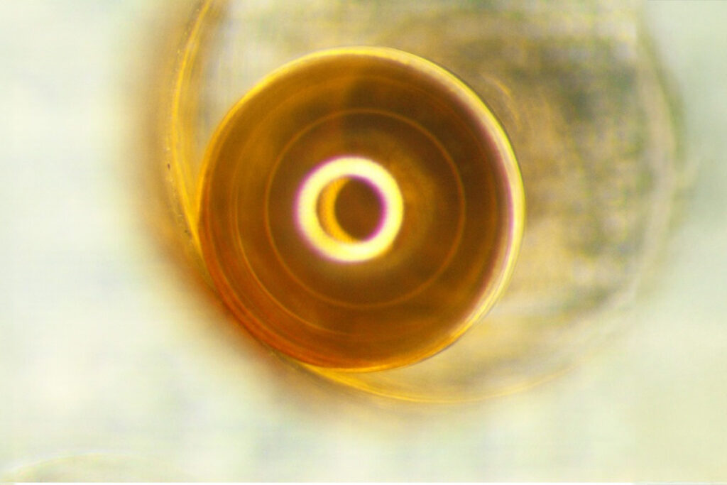 Microscopic photograph of a spherical taget.