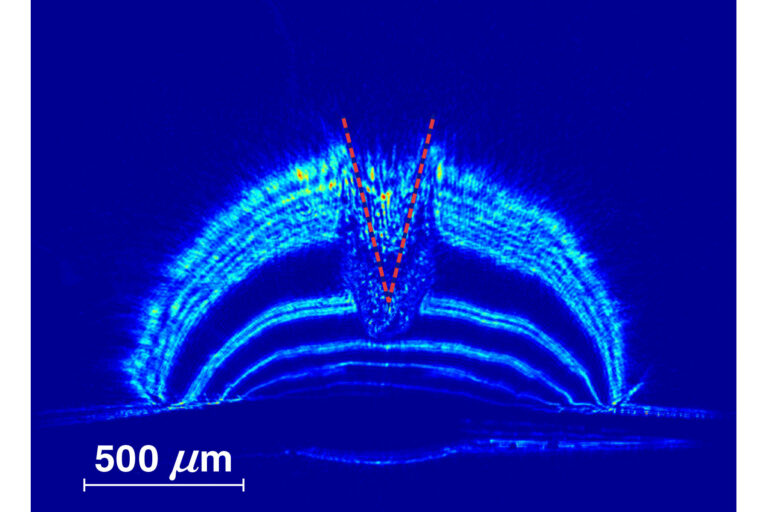 Blue-toned scientific data visualization showing an interference or density pattern from a laser or plasma experiment, labeled with a micrometer scale bar.