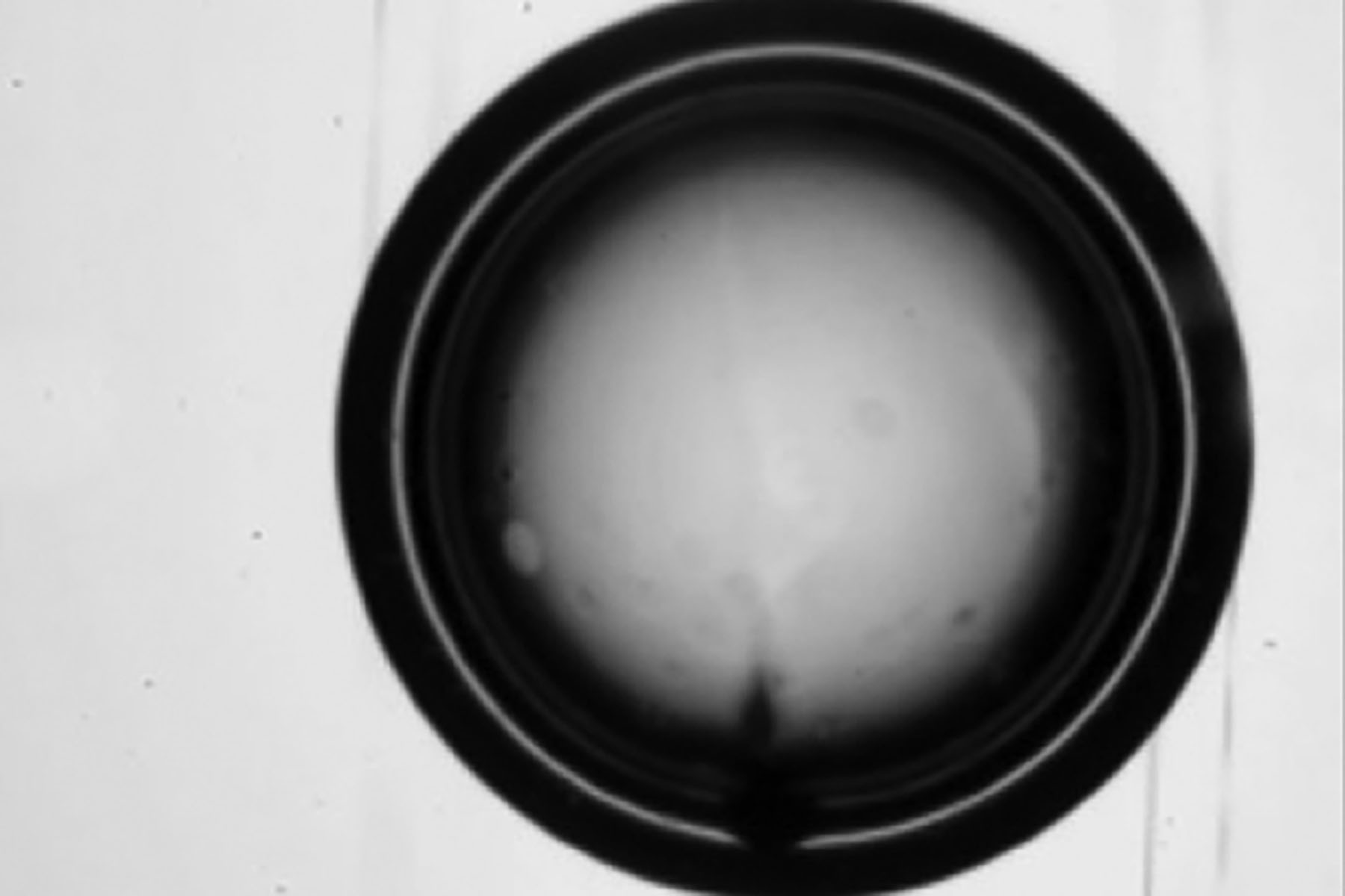 Black-and-white microscope image of a spherical capsule or droplet centered inside a circular holder.