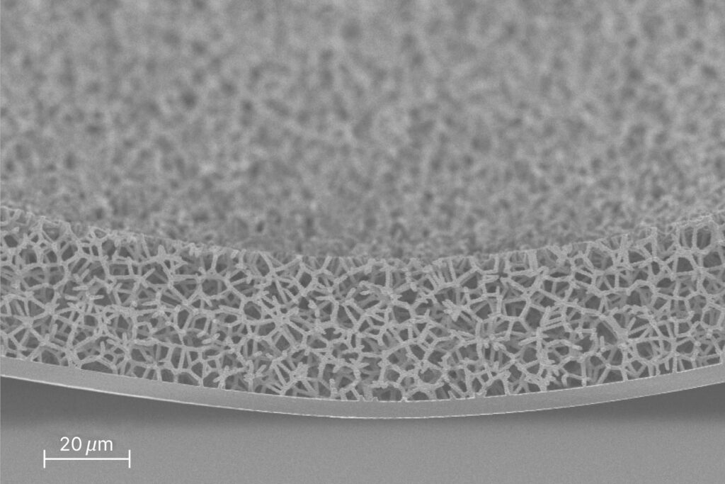 Black and white scanning electron microsoft image of a foam target.