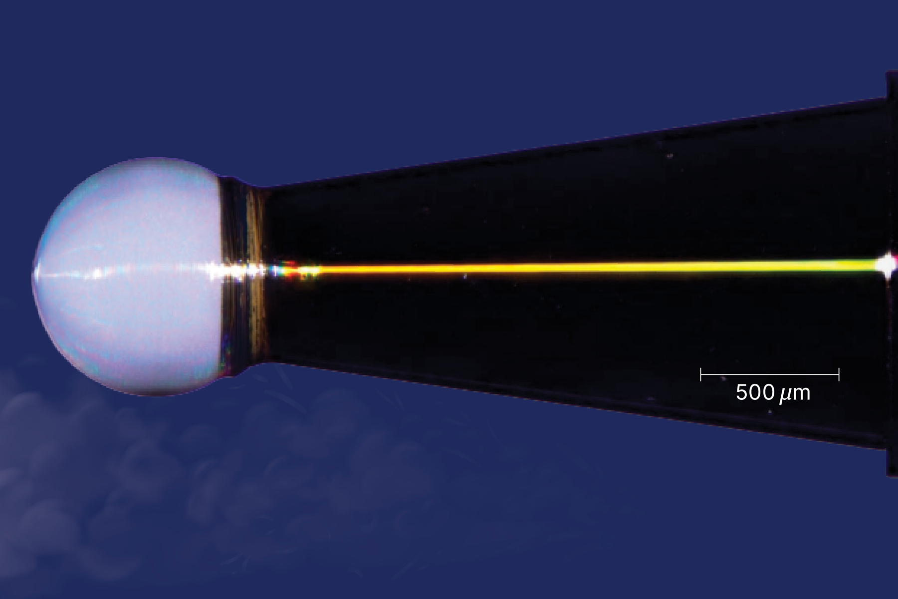 Close-up photograph of a cone0-in-shell photograph with a puff of air on a blue background